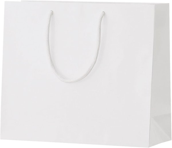 画像1: 丸玉工業 紙袋 シャイニーバッグ 手提げ袋 Mサイズワイド 白 10枚 (1)