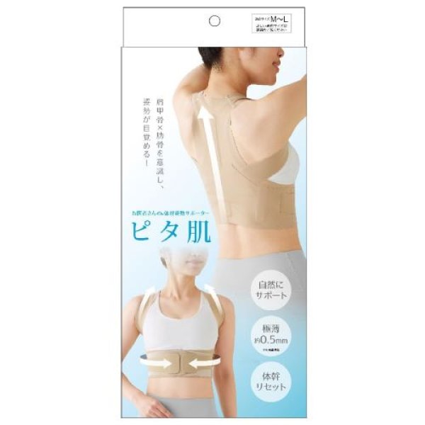 画像1: アルファックス 姿勢ベルト 背筋ベルト 背中用 薄型 お医者さんの体幹姿勢サポーター ピタ肌 M-L 日本製 4528870441700 ] (1)