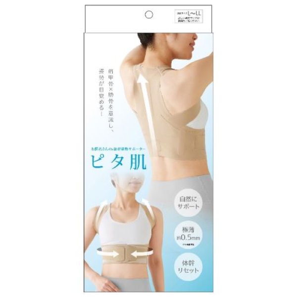 画像1: アルファックス 姿勢ベルト 背筋ベルト 背中用 薄型 お医者さんの体幹姿勢サポーター ピタ肌 L-LL 日本製 4528870441717 ] (1)