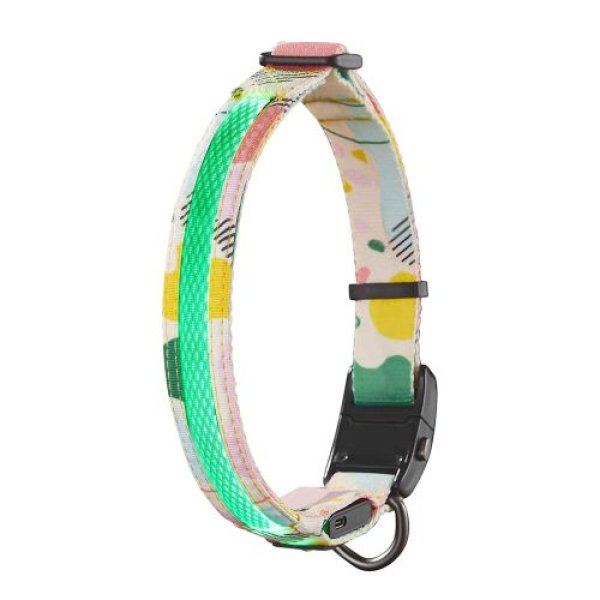 画像1: 【特売品】ルークラン(ROOKCRAN) 犬用首輪 ドッグネス LED首輪 XL アブストイエロー 小型犬 中型犬 大型犬 ペット用 おしゃれ 安全 019473 843775119795 ] (1)
